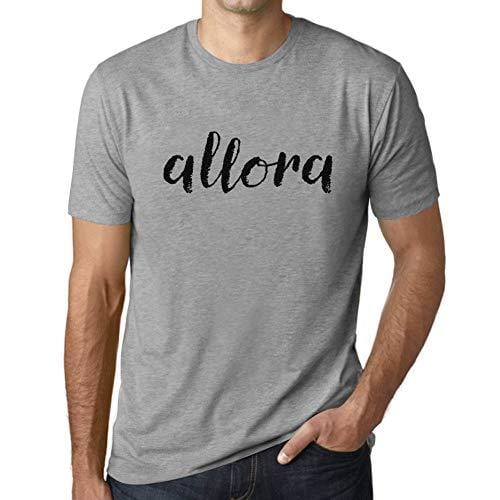 Ultrabasic - Herren T-Shirt Graphique Allora Gris Chiné