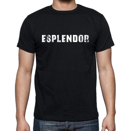 Esplendor Mens Short Sleeve Round Neck T-Shirt - Casual