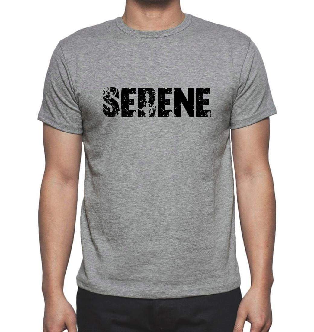 Serene Grey Mens Short Sleeve Round Neck T-Shirt 00018 - Grey / S - Casual